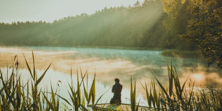 What Mindfulness Based Cognitive Therapy Can Do For You